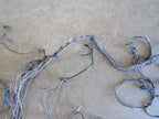 99-00 BMW Z3 Coupe Body Chassis Dash Wiring Harness Loom Wire MT DAMAG
