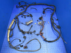 01-03 Volkswagen Eurovan 2.8l AXK Engine Motor Wiring Wire Harness Loo