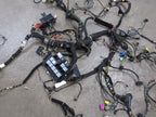 03 Porsche 911 996 Turbo Coupe MT Main Body Chassis Wire Harness Loom 