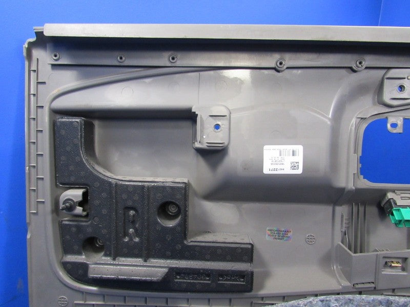16-25 Express Savana 2500 3500 Right Pass Side RH Door Panel Pewter 46