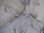 99-00 BMW Z3 Coupe Body Chassis Dash Wiring Harness Loom Wire MT DAMAG