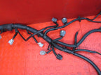 04 Nissan Titan 5.6L V8 VK56DE Engine Wire Wiring Harness Loom 4419