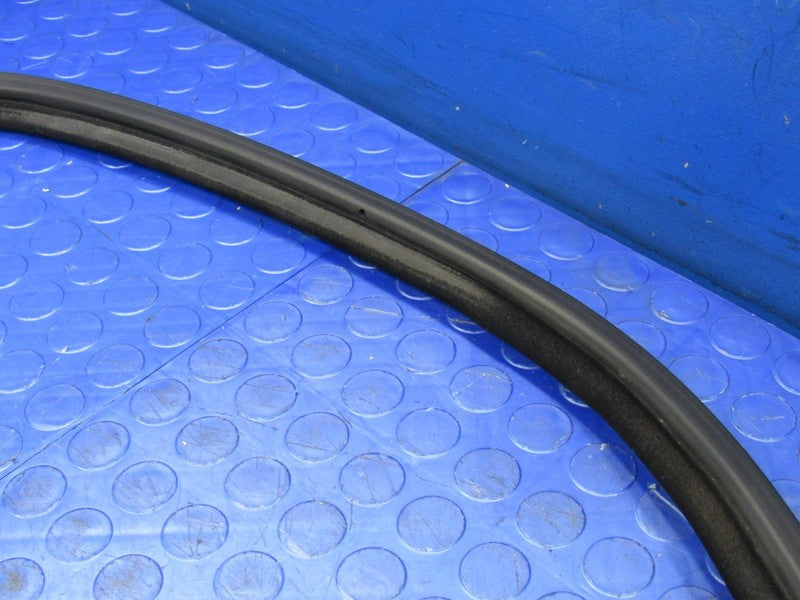 99-02 BMW Z3 M Coupe Hatch Liftgate Trunk Seal Rubber Weather Strippin