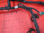 99-00 Ford Mustang GT 4.6L SOHC Engine Control Wiring Wire Harness Loo