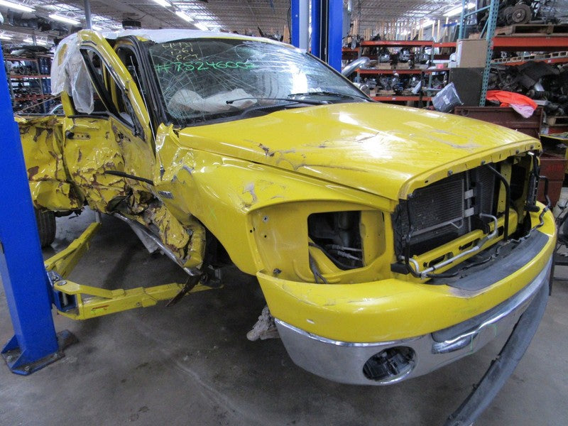 06-07 Ram 15/25/3500 Left LH Driver Side Front Door Trim Panel W/O Win