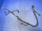 01-04 Ford Mustang GT 4.6L TR3650 Manual Transmission Wiring Wire Harn