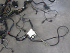 03 Porsche 911 996 Turbo Coupe MT Main Body Chassis Wire Harness Loom 