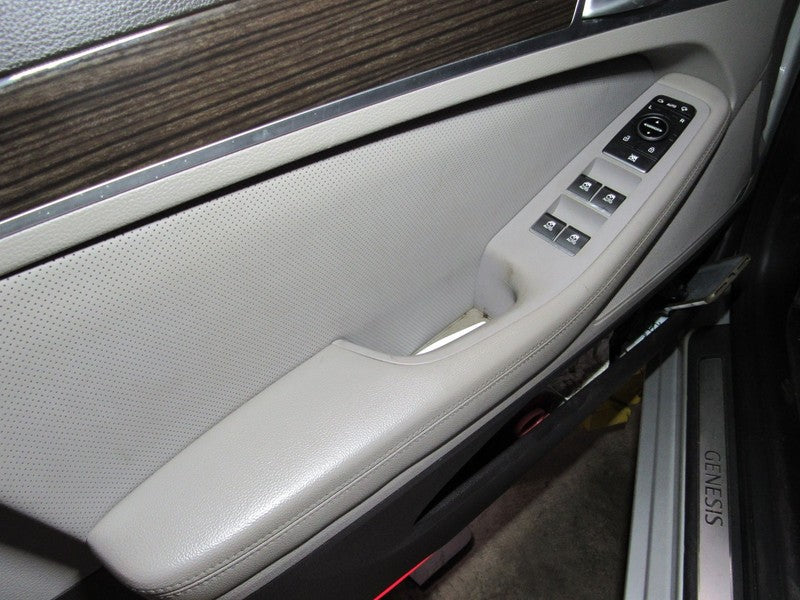 15-17 Genesis G80 Left LH Driver Side Front Door Trim Panel Gray W/O S