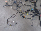 03 Porsche 911 996 Turbo Coupe MT Main Body Chassis Wire Harness Loom 