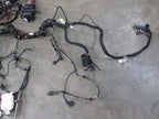 03 Porsche 911 996 Turbo Coupe MT Main Body Chassis Wire Harness Loom 