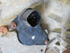 99-04 F250 F350 / 00-05 Excursion 4x4 Transfer Case Electronic Shift N